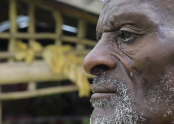 From Emotional Scar of the Horrific Landslide to Hope- the Community of Kencho Shacha Gozdi Village