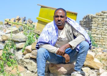 Hundreds of thousands of Birr earned from beekeeping in May’keyih Kebele – Tigray region