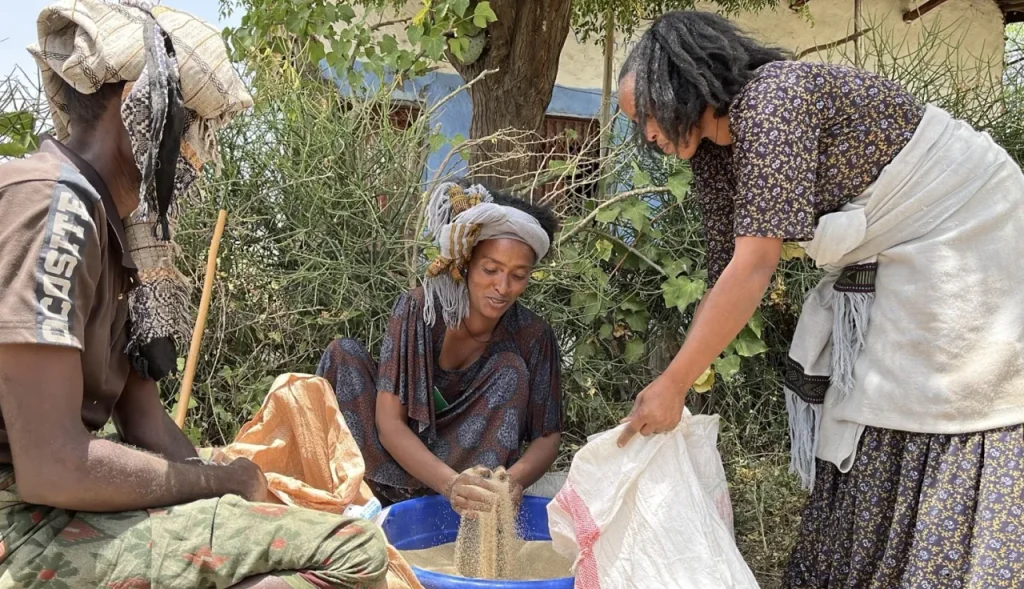 ICRC provides seeds and fertilizers to 132,000 people