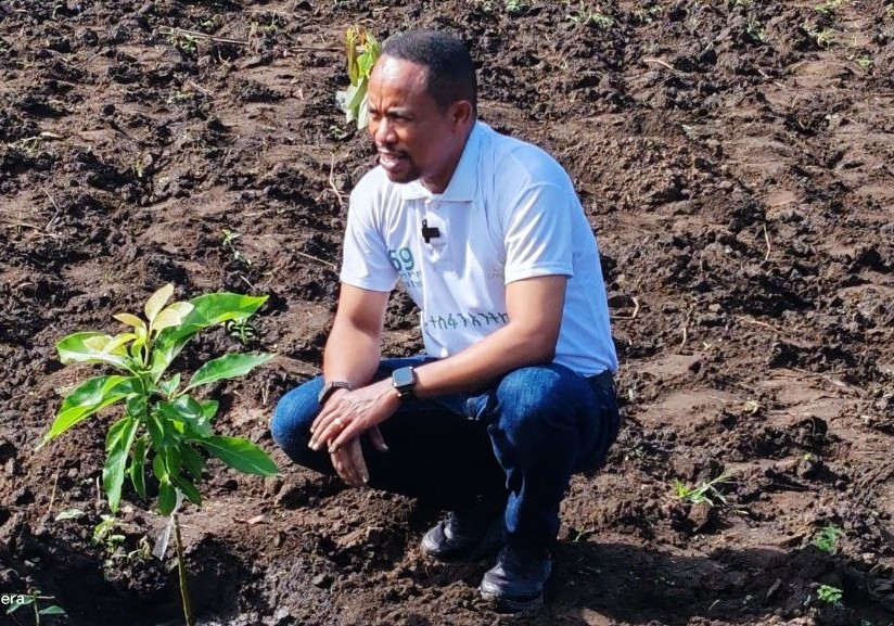ERCS Branches Plant Over 270,000 Tree Seedlings Across Southern Ethiopia
